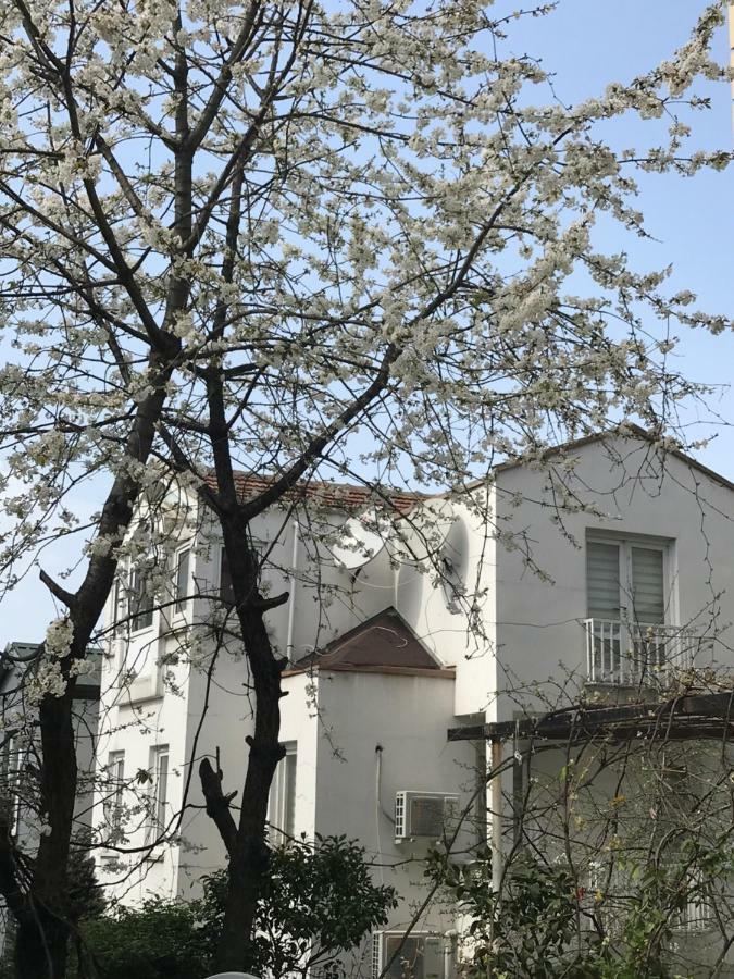 Villa Ata Atakent Trabzon Exterior photo